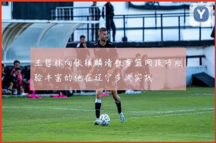 王哲林向张镇麟请教剪篮网技巧经验丰富的他在辽宁多次实践