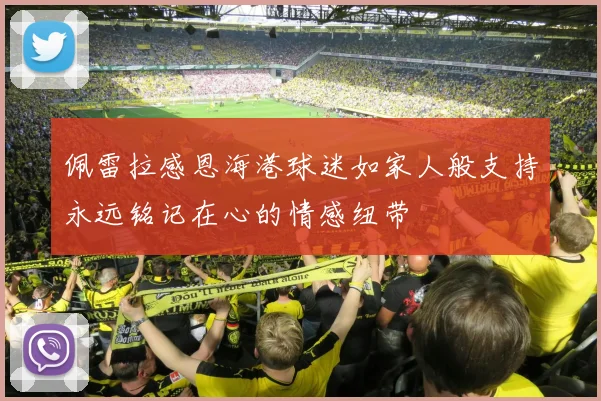 佩雷拉感恩海港球迷如家人般支持永远铭记在心的情感纽带
